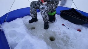 ОКУНЬ КЛЮЕТ НА КАЖДОМ ЗАБРОСЕ