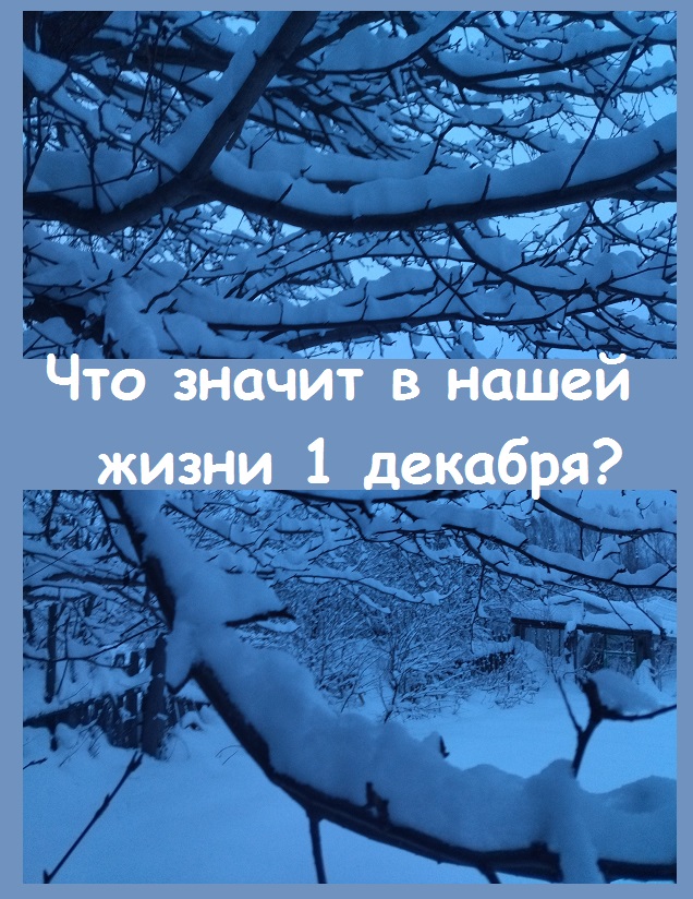 Народные приметы - что означает в нашей жизни 1 декабря и чего нельзя делать в этот день?