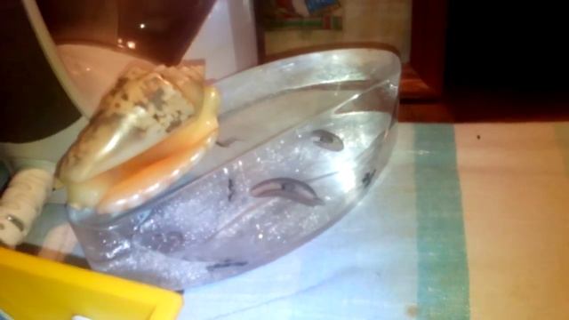 Обзор моей съёмной квартиры. смотреть онлайн