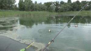 Рыбалка Ловля карася на ЗИМНЮЮ УДОЧКУ (летом). My fishing