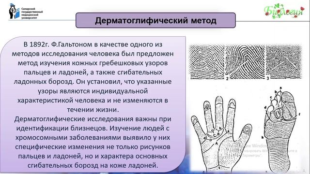Лекция 14 Генетика человека смотреть онлайн