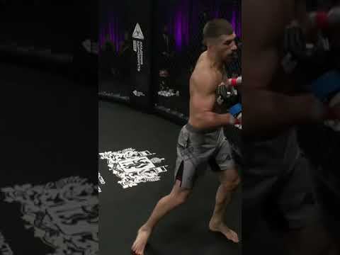 Экс-боец UFC под шквалом ударов | Судья прав?