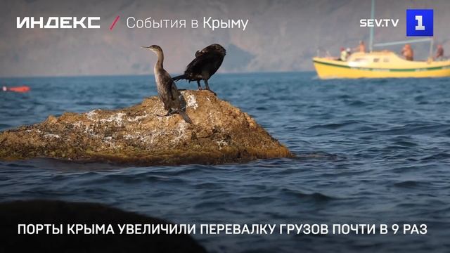 Порты Крыма увеличили перевалку грузов почти в 9 раз