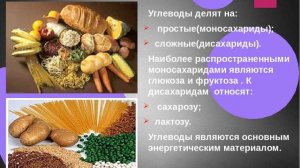 Интересные факты об углеводах
