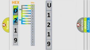 DTC Infiniti U1219 Short Explanation