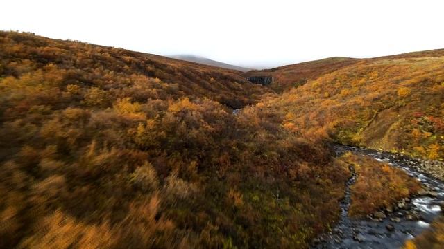 Icelands famous BLACK waterfall//Svartifoss//Drone Crash//4K Video// смотреть онлайн
