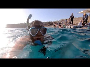 Шарм-Эль-Шейх, Reef Oasis Beach Resort 5* - Понтон и подводный мир (март 2021г.)