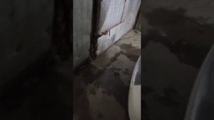Скрытые функции Volkswagen