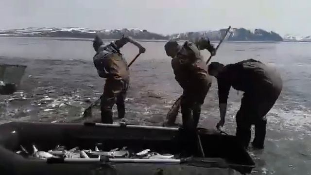 Рыбалка в Моздоке ? смотреть онлайн