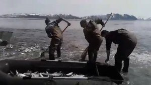 Рыбалка в Моздоке ?