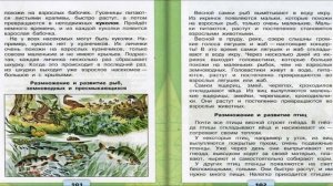 Размножение и развитие животных. Окружающий мир. 3 класс, 1 часть. Учебник А. Плешаков стр. 100-105