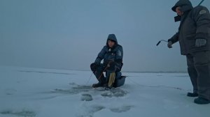 УДОЧКА УШЛА В ЛУНКУ!!! Ловля окуня на балансир. Зимняя рыбалка на балансир.