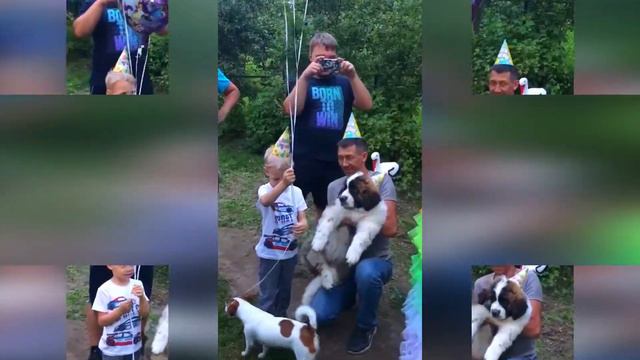 Желанный Дар С Русской Душой Гриша смотреть онлайн