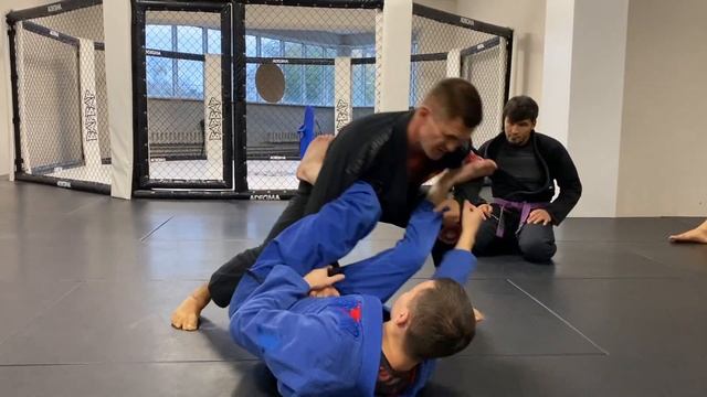 Как пройти Lasso Guard ?  Лев Гладких