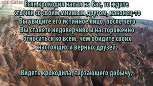 К чему снится Крокодил сонник, толкование сна