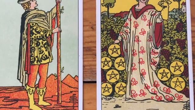 Описание внешности  женщины Будущего Правителя. ✨