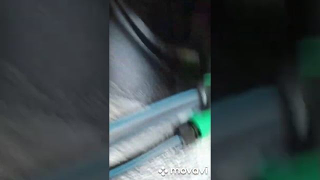 Начало индора в гроубоксе на гидропонике