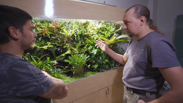 Основы палюдариума флорариума с @Florariumplants - флорариумы