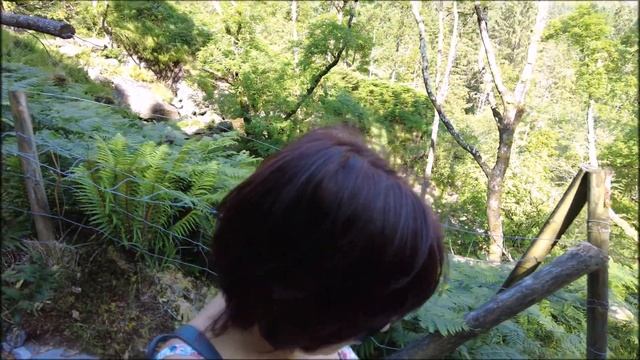 Национальный парк/По горам и по лесу/Овода/Gougane Barra Forest Park/Графство Корк/ Ирландия
