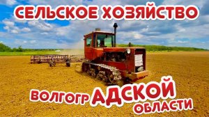 ДРУГОЙ МИР СЕЛЬСКОГО ХОЗЯЙСТВА☀️ ВОЛГОГРАД☀️