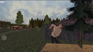 Обзор на Симулятор Русской Деревни (Russian Village Simulator 3D) версии 1.01