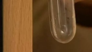 Влияние температуры на скорость химических реакций
