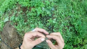 ⚠️Роковой коп⚠️Поиск монет с металлодетектором ТХ-850.Налетел рой шершней.