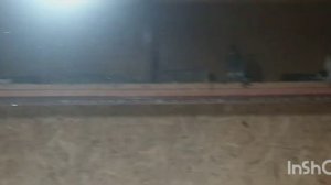 голуби города воронежа бойные  голуби дяди Саши.