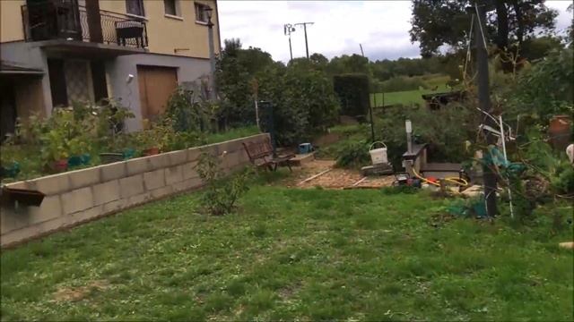 France, figs. Инжир. Сорта инжира. Влияние дождей на разные сорта инжира. Урожай инжира в октябре. смотреть онлайн