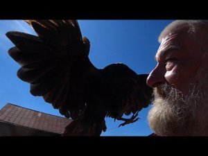 Июльский привет.