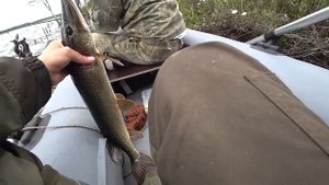 Рыбалка на Озере Ваштор.ХМАО