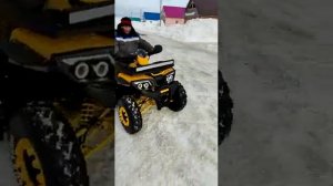 Квадроцикл PROMAX WILD 300 зимний дрифт