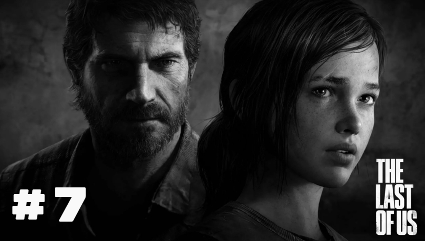 The Last of Us # 7
