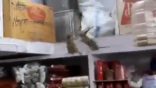 Кот упал в ступор от увиденного 😵
