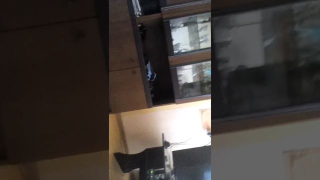 Делаем желе (белое) смотреть онлайн