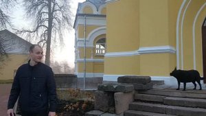 собака воет на колокольный звон