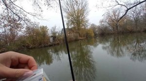 МОРМЫШИНГ: Снова Chikki творит чудеса, поймал сазана и карпа!!!!!!