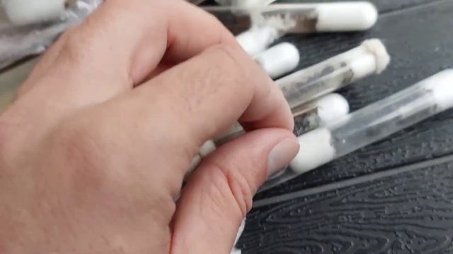 Посылка с Таиланда 16.11.2022 смотреть онлайн