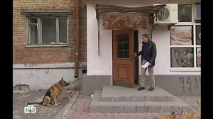 Возвращение Мухтара 2. Ошибка киллера