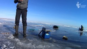 Опять трофей или ловля судака на водохранилище со льда - 10.02.2018