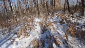 Волк в петле. Установка пружины РАМ с петлей на волка.