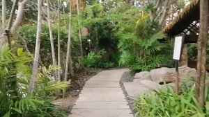 Паттайя в отеле Centara Grand Mirage Beach 🏖...