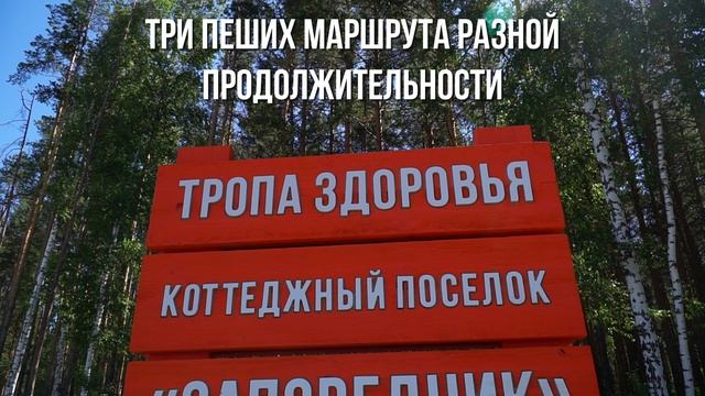 Выборы участкового