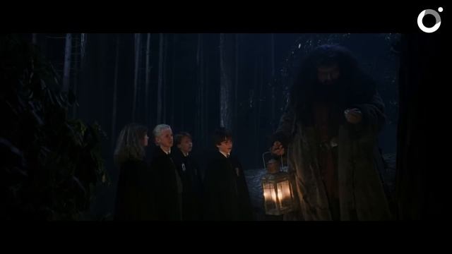 Почему Хогвартс — плохая школа? смотреть онлайн