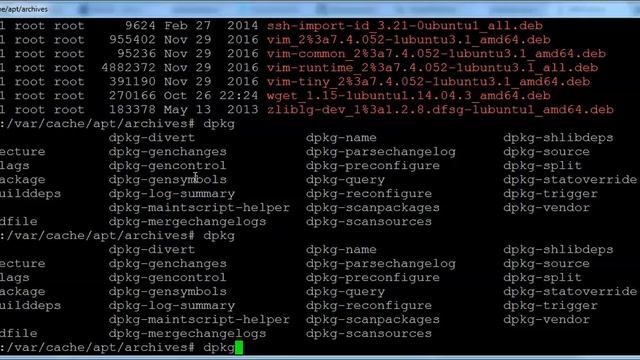 Package Management in LINUX URDU Hindi смотреть онлайн