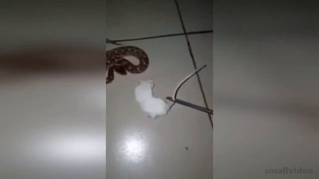 Не рой другому яму,а то сам в неё попадёшь смотреть онлайн