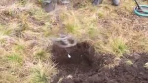 Зарыли чешуйку.Проверяем разными приборами на глубину!