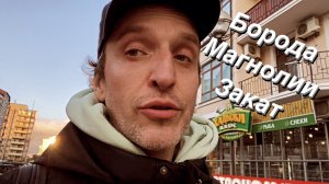 ВЛОГ Нидерландский гость / Борода / Всё цветёт / Закат на Круче
