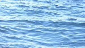 Коктебель - Кара-Даг - Сердоликовая бухта (010918г. 15:46)