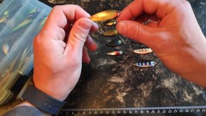 Колебалки на Голавля! Введение!